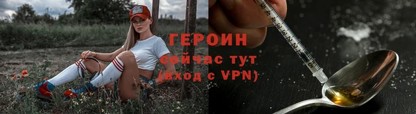 герыч Алексин