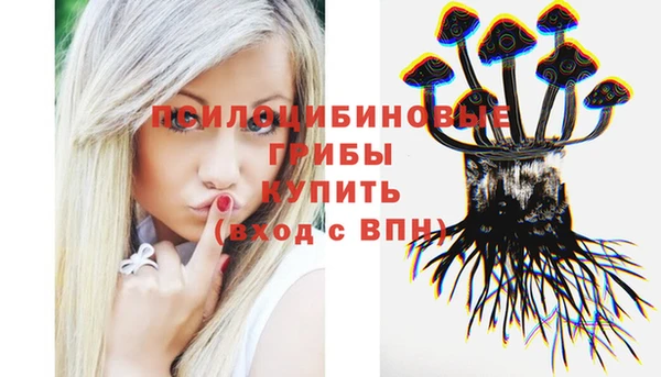 соль курить ск Алексеевка